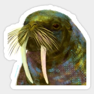 Walrus Sticker